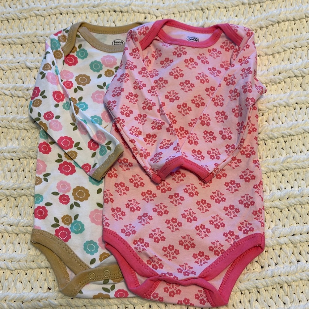 Luvable Friends long sleeve onesies, set of 2